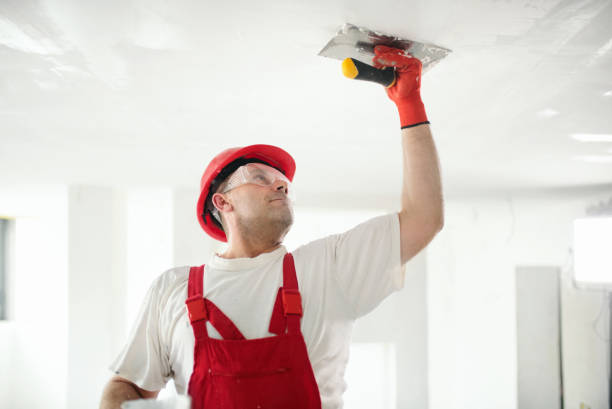 Trusted Princeton, TX Dry wall and painting Experts